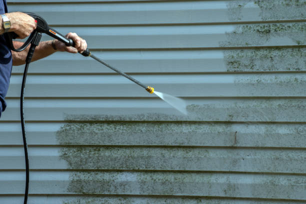 Best Graffiti Removal  in Monticello, NY